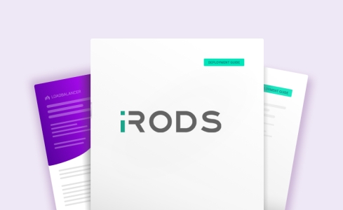 iRODS deployment guide